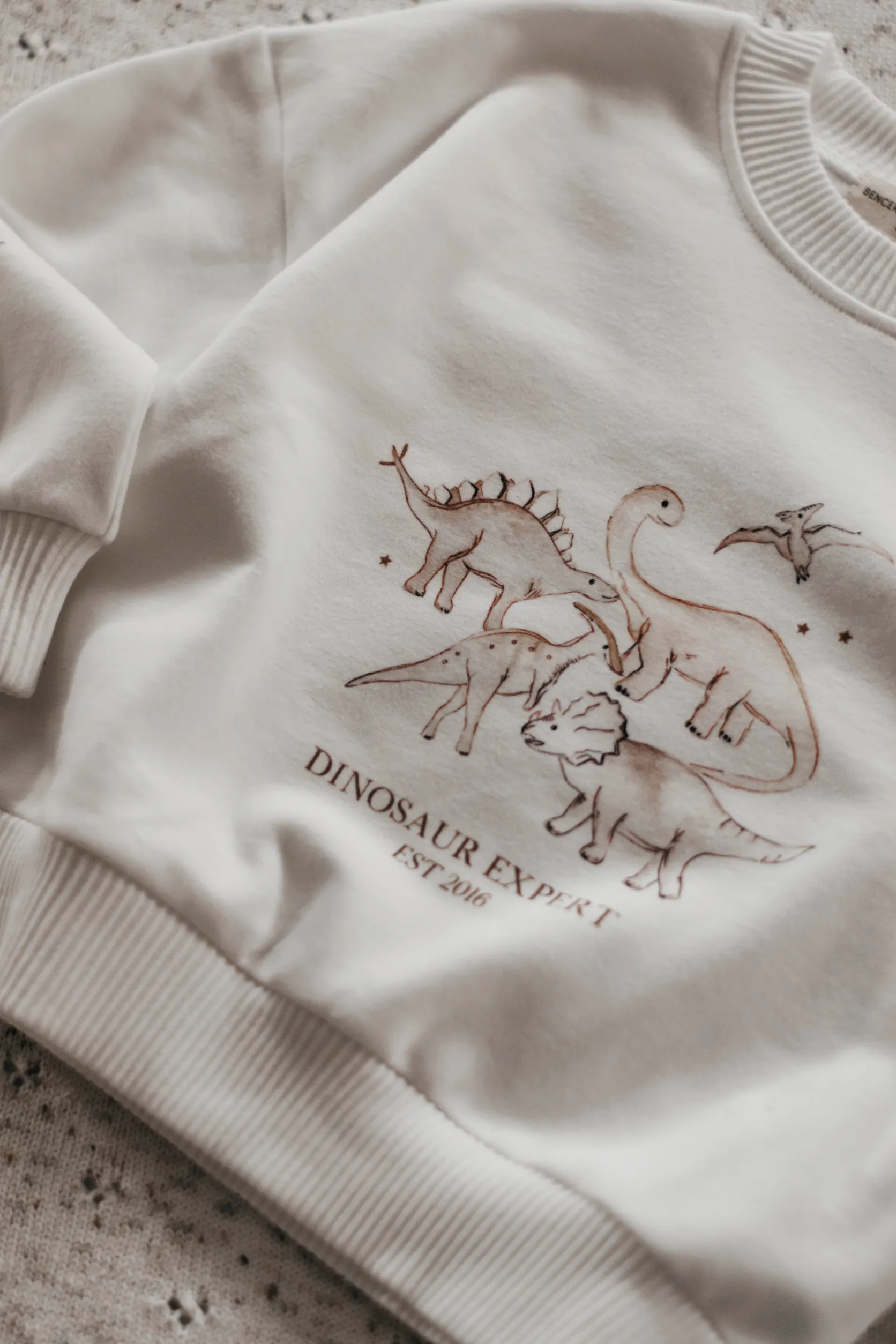 Dinosaur Expert Jumper | White