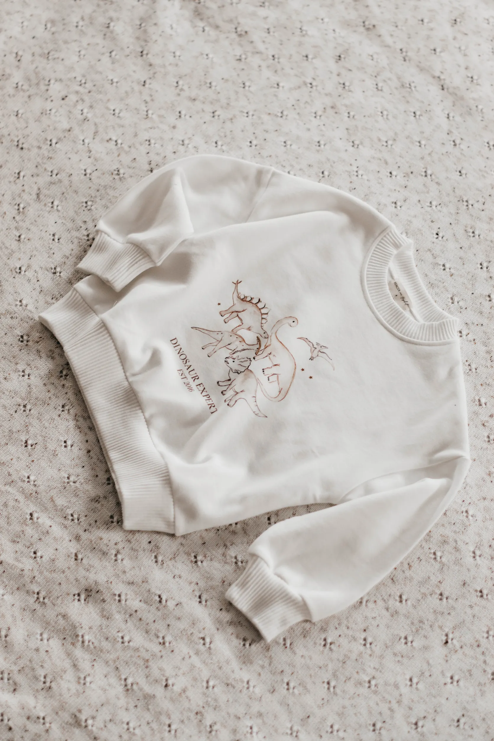 Dinosaur Expert Jumper | White