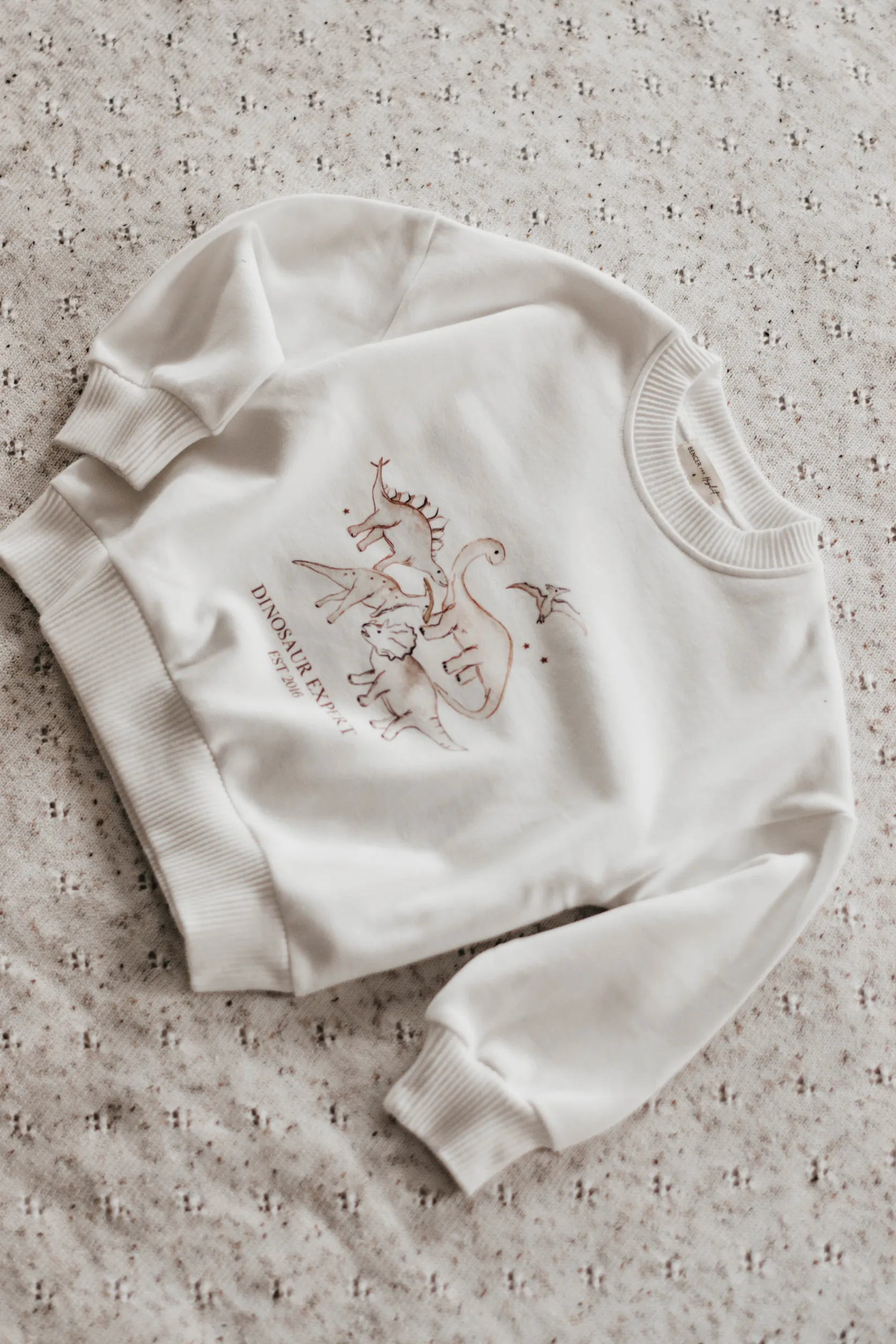 Dinosaur Expert Jumper | White