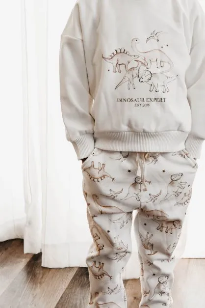 Dinosaur Expert Jumper | White
