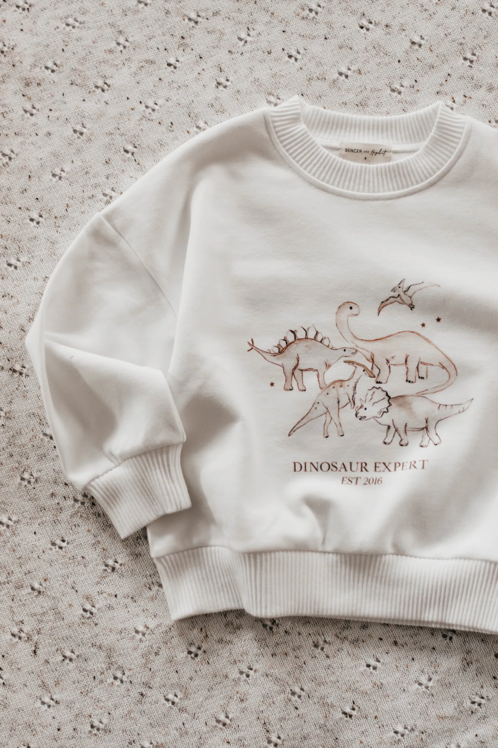 Dinosaur Expert Jumper | White