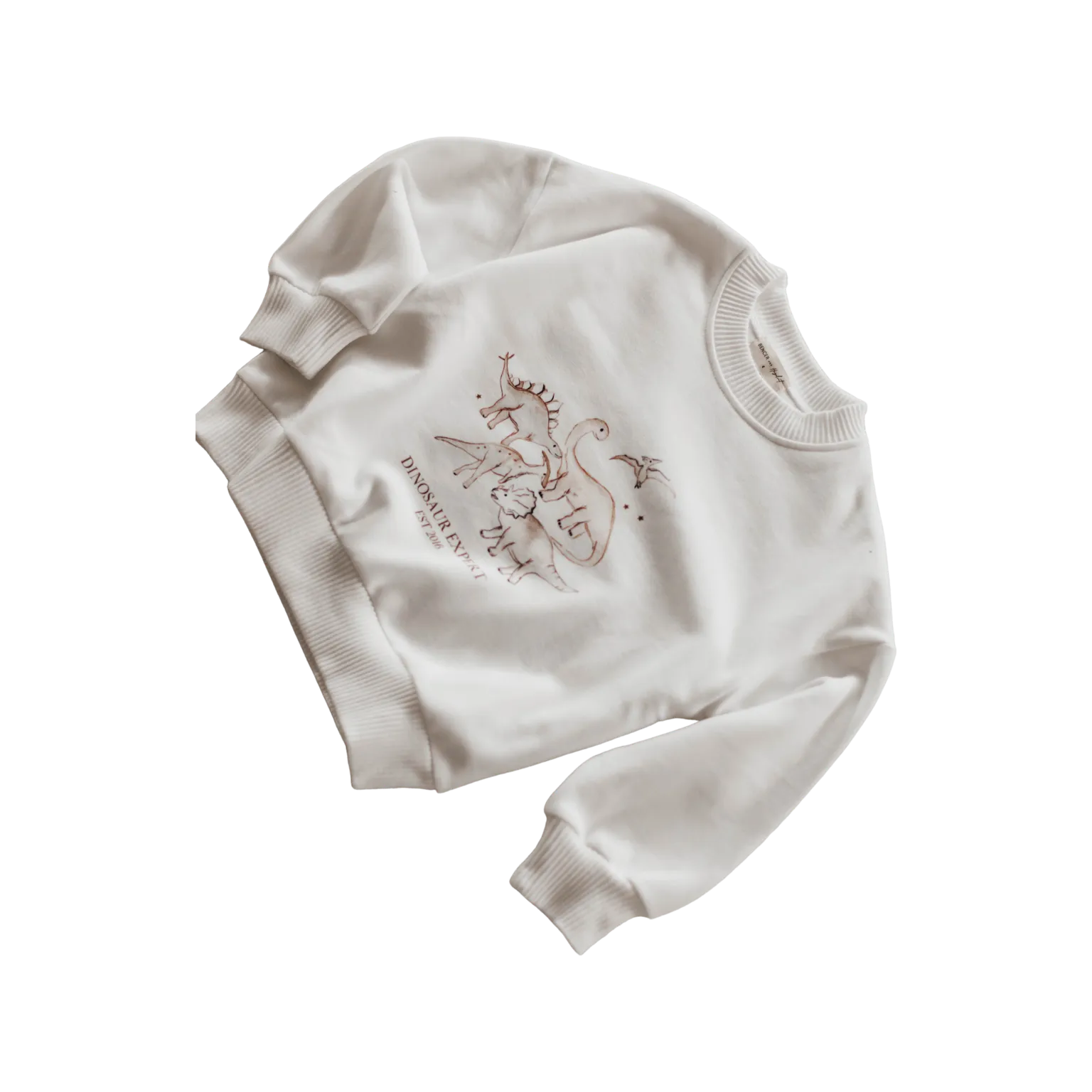 Dinosaur Expert Jumper | White