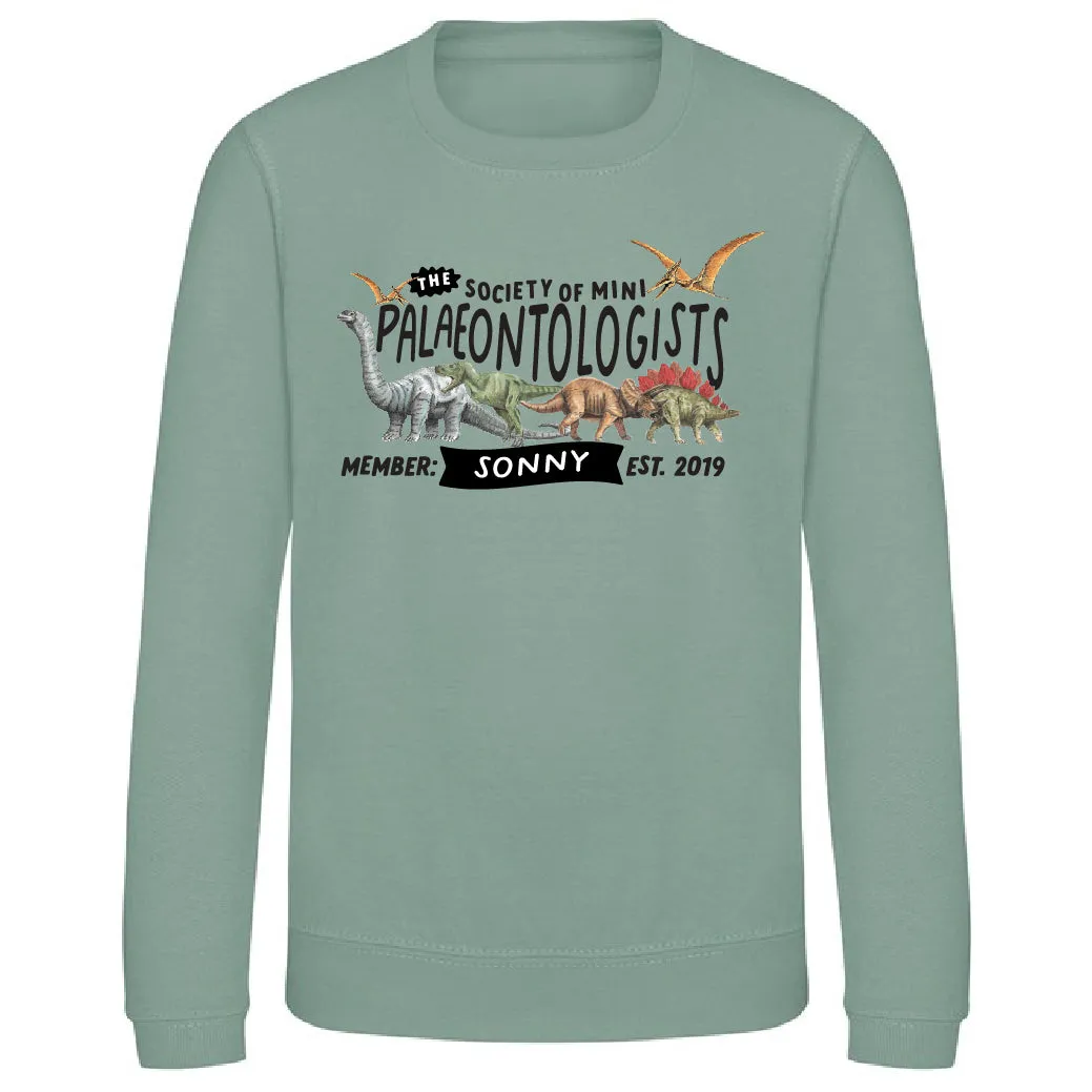 Mini Dreams palaeontologist kids sweater