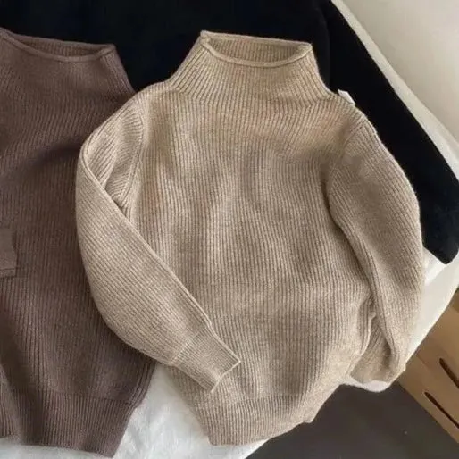 Turtleneck Rib Solid Pullover